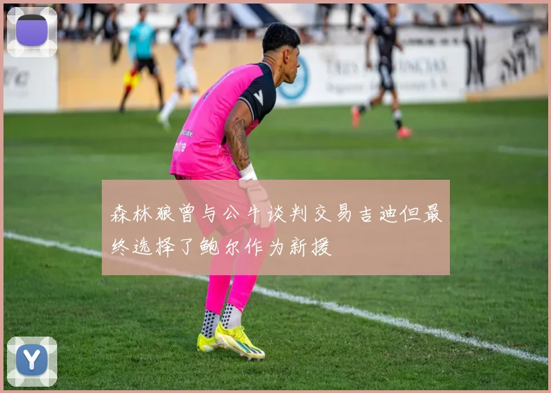 森林狼曾与公牛谈判交易吉迪但最终选择了鲍尔作为新援