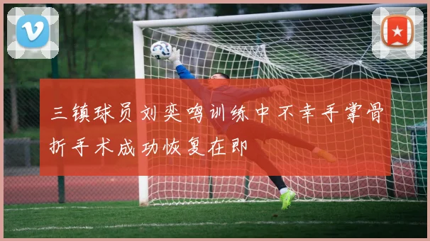 三镇球员刘奕鸣训练中不幸手掌骨折手术成功恢复在即
